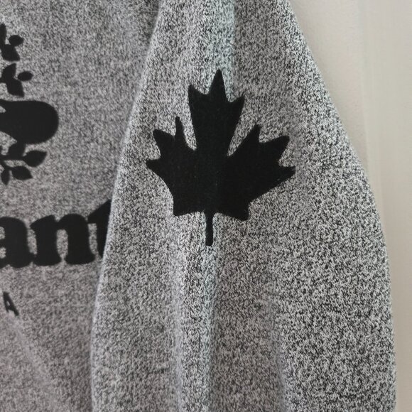 Roots Mont Tremblant Kanga Hoodie size XS - Picture 2 of 4